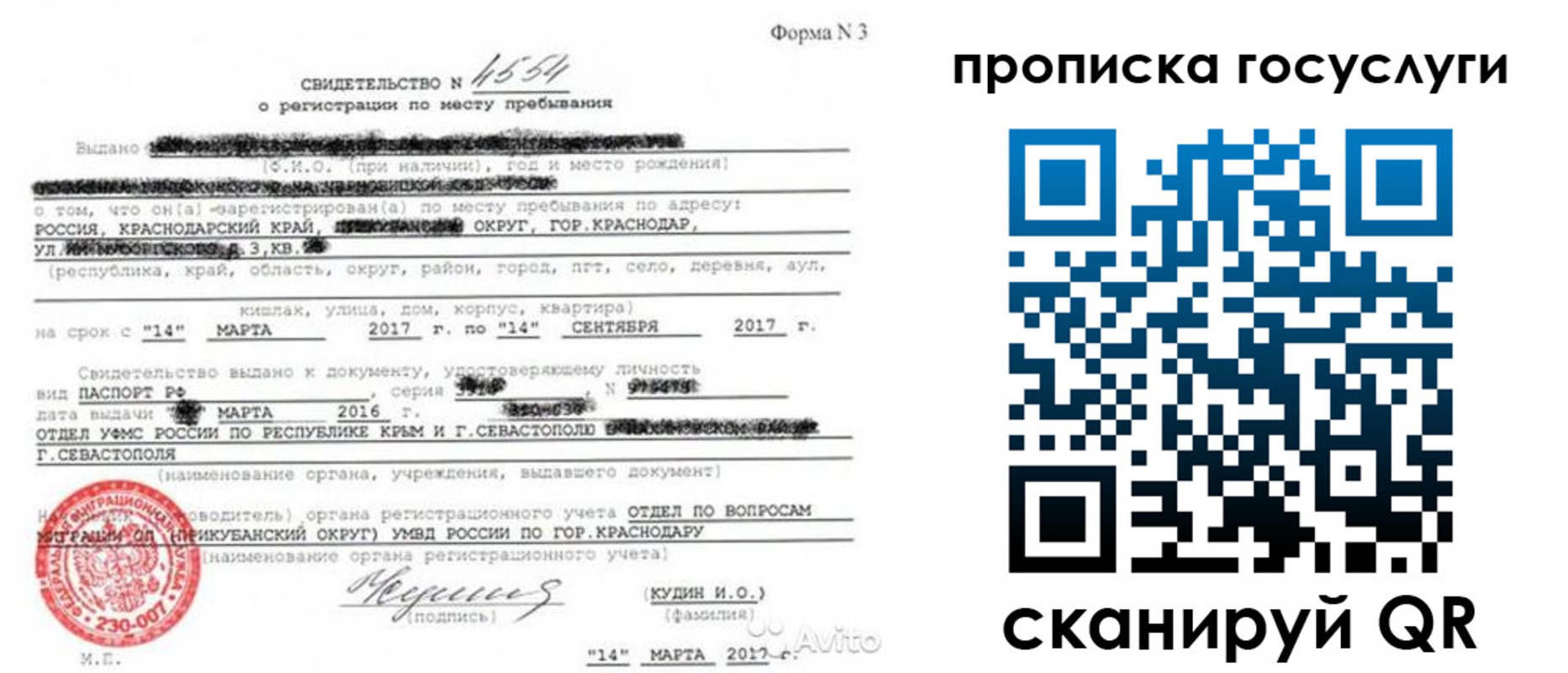 купить прописку в Камчатской области